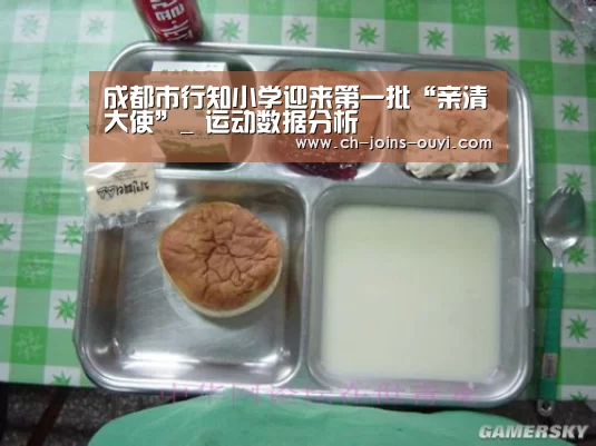 成都市行知小学迎来第一批“亲清大使”_ 运动数据分析(图1) 智能训练
