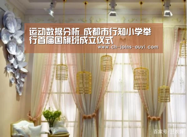 运动数据分析_成都市行知小学举行首届国旗班成立仪式(图2) 智能训练