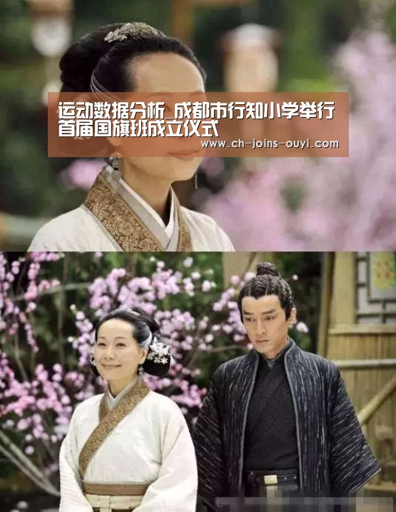 运动数据分析_成都市行知小学举行首届国旗班成立仪式(图3) 体育资讯