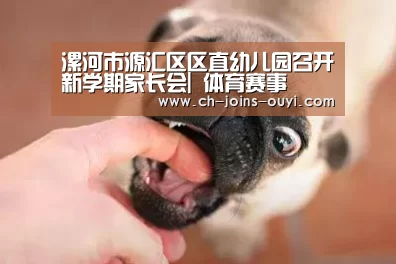 漯河市源汇区区直幼儿园召开新学期家长会| 体育赛事(图4) 体育资讯